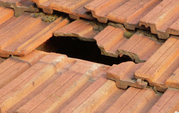 roof repair Pebsham, East Sussex